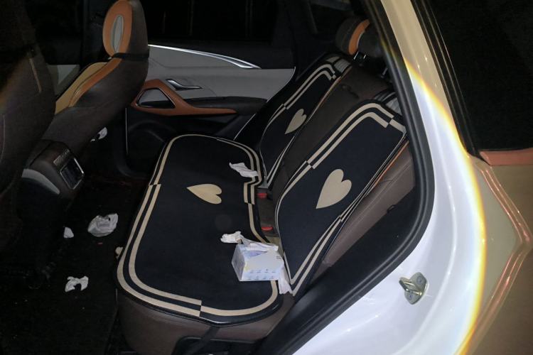 Used BYD Song Pro New Energy 2022 DM-i 51km Prestige Model Left Rear Seat