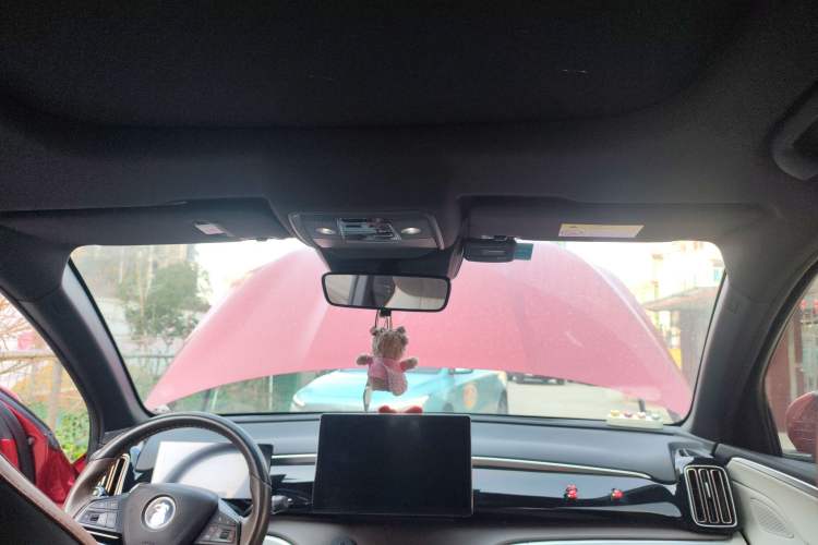 Used BYD Song Pro New Energy 2022 DM-i 110km Flagship Model Headliner