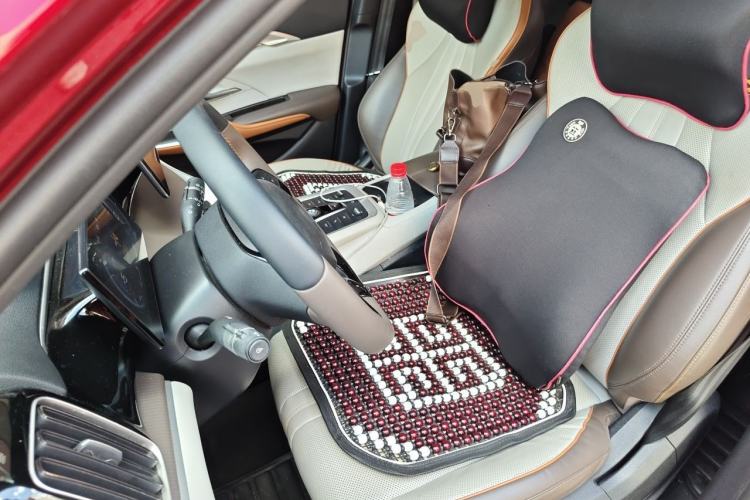 Used BYD Song Pro New Energy 2022 DM-i 51km Prestige Model Left Front Seat