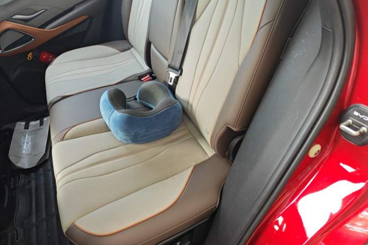 Used BYD Song Pro New Energy 2022 DM-i 110km Flagship Pro Model Left Rear Seat