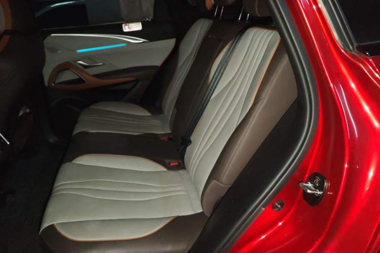 Used BYD Song Pro New Energy 2022 DM-i 110km Flagship Pro Model Left Rear Seat
