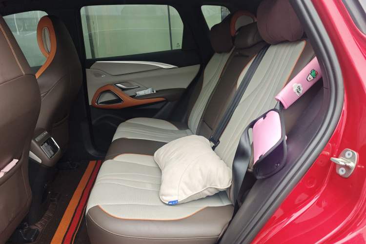Used BYD Song Pro New Energy 2022 DM-i 110km Flagship Pro Model Left Rear Seat