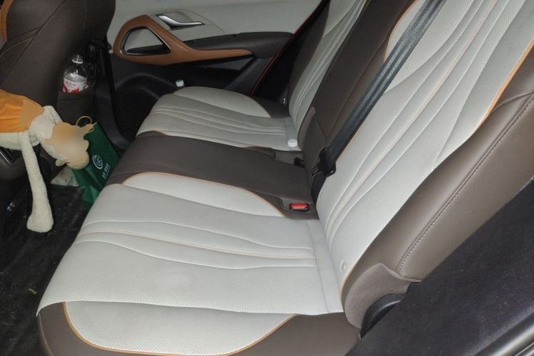 Used BYD Song Pro New Energy 2022 DM-i 110km Flagship Pro Model Left Rear Seat