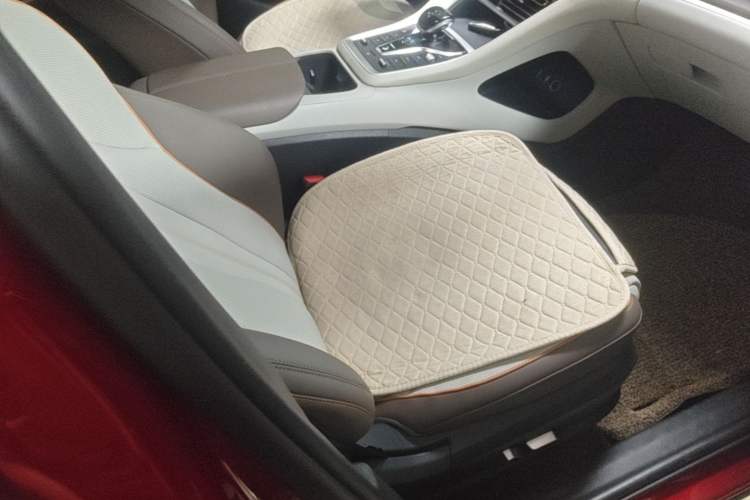 Used BYD Song Pro New Energy 2022 DM-i 110km Flagship Pro Model Right Front Seat