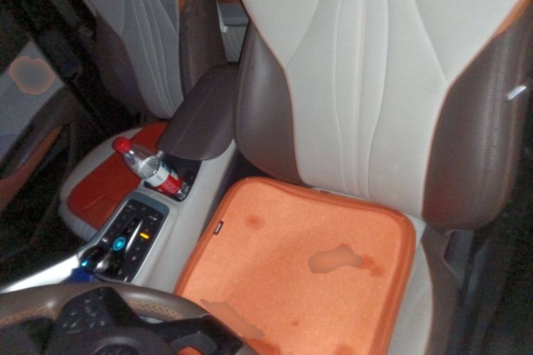 Used BYD Song Pro New Energy 2022 DM-i 110km Flagship Pro Model Left Front Seat