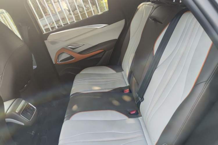 Used BYD Song Pro New Energy 2022 DM-i 51km Prestige Model Left Rear Seat