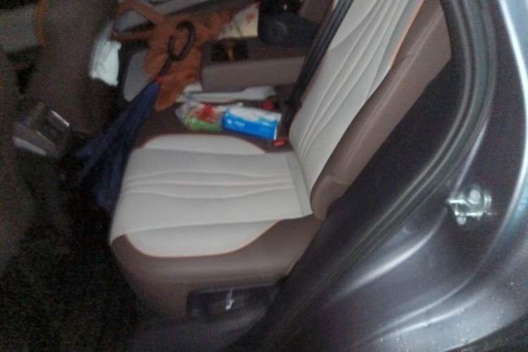 Used BYD Song Pro New Energy 2022 DM-i 110km Flagship Pro Model Left Rear Seat