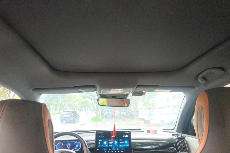 Used BYD Song Pro New Energy 2022 DM-i 51km Prestige Model Headliner