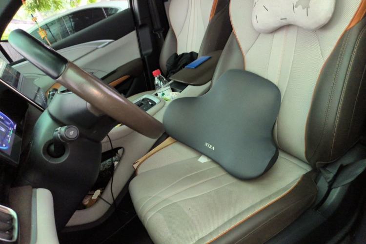 Used BYD Song Pro New Energy 2022 DM-i 110km Flagship Pro Model Left Front Seat