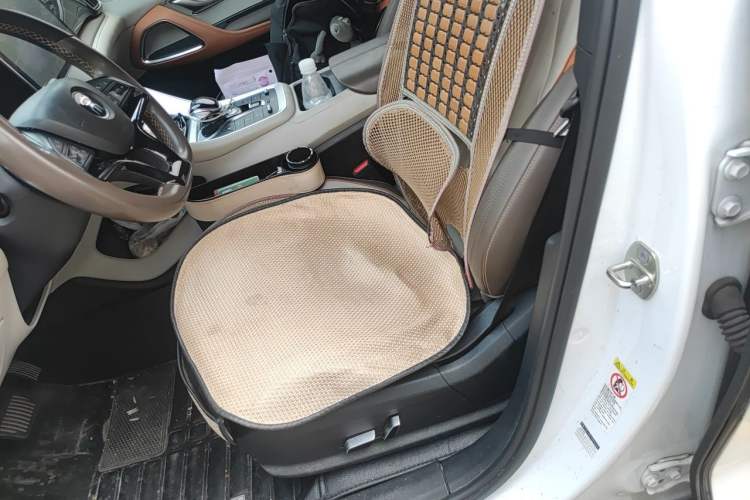 Used BYD Song Pro New Energy 2022 DM-i 110km Flagship Model Left Front Seat