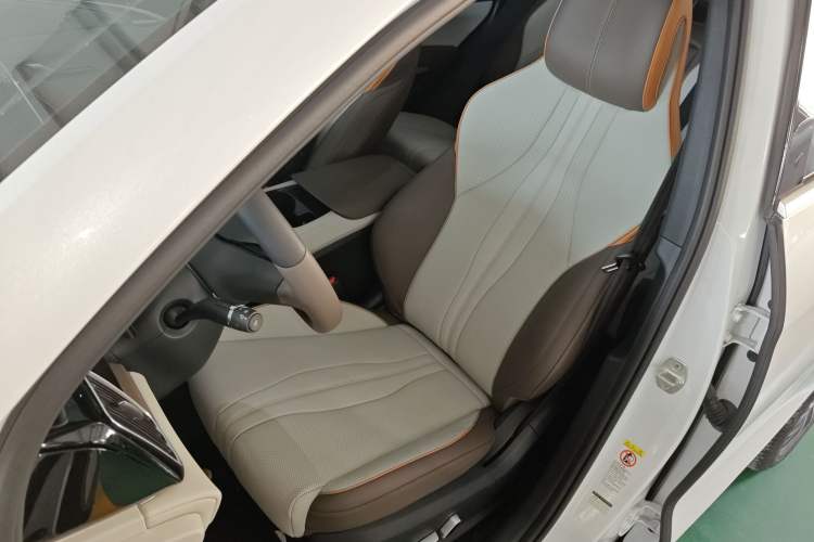 Used BYD Song Pro New Energy 2022 DM-i 110km Flagship Pro Model Left Front Seat