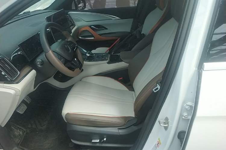 Used BYD Song Pro New Energy 2022 DM-i 51km Prestige Model Left Front Seat