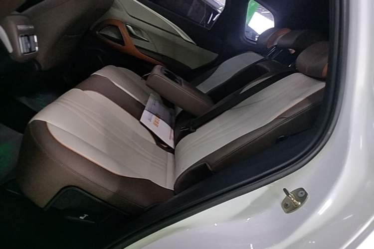 Used BYD Song Pro New Energy 2022 DM-i 110km Flagship Model Left Rear Seat