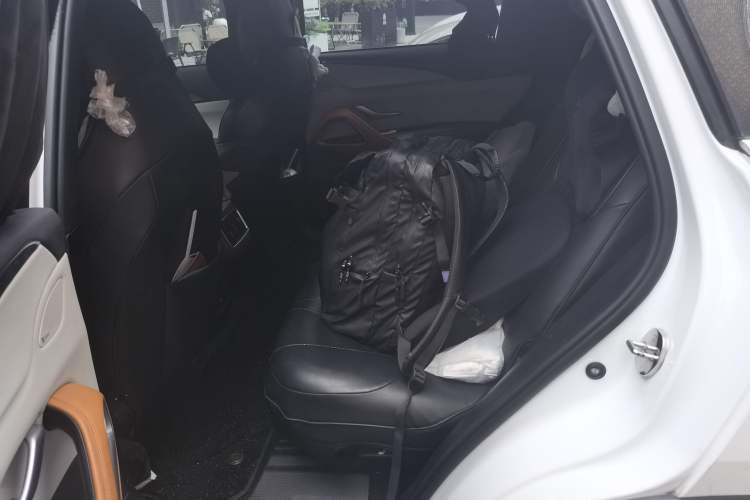 Used BYD Song Pro New Energy 2022 DM-i 110km Flagship Pro Model Left Rear Seat