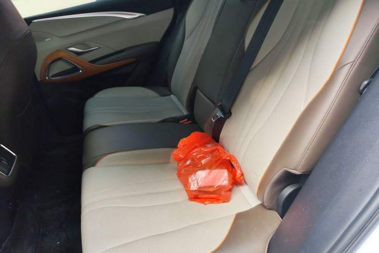 Used BYD Song Pro New Energy 2022 DM-i 110km Flagship Pro Model Left Rear Seat