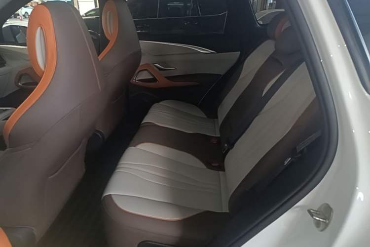 Used BYD Song Pro New Energy 2022 DM-i 110km Flagship Model Left Rear Seat