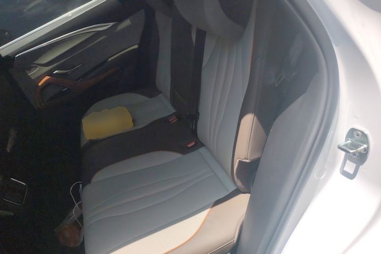 Used BYD Song Pro New Energy 2022 DM-i 51km Prestige Model Left Rear Seat