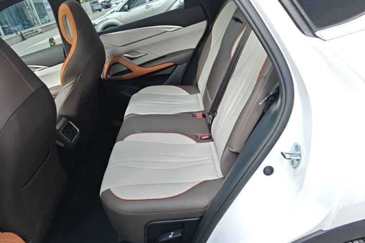 Used BYD Song Pro New Energy 2022 DM-i 51km Prestige Model Left Rear Seat