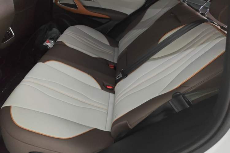 Used BYD Song Pro New Energy 2022 DM-i 110km Flagship Pro Model Left Rear Seat