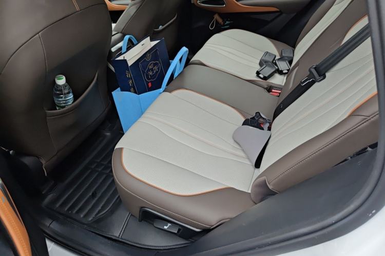 Used BYD Song Pro New Energy 2022 DM-i 110km Flagship Pro Model Left Rear Seat