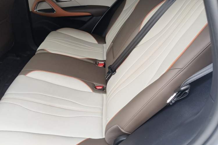 Used BYD Song Pro New Energy 2022 DM-i 51km Luxury Model Left Rear Seat