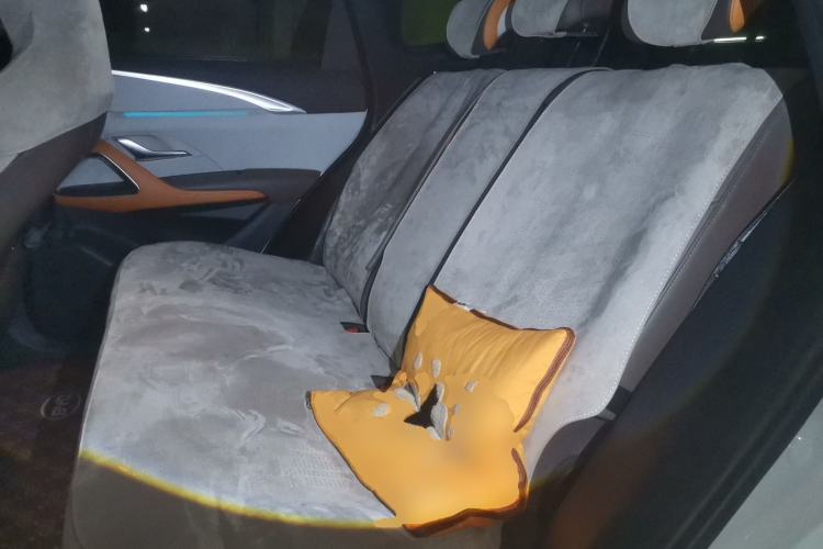 Used BYD Song Pro New Energy 2022 DM-i 110km Flagship Pro Model Left Rear Seat