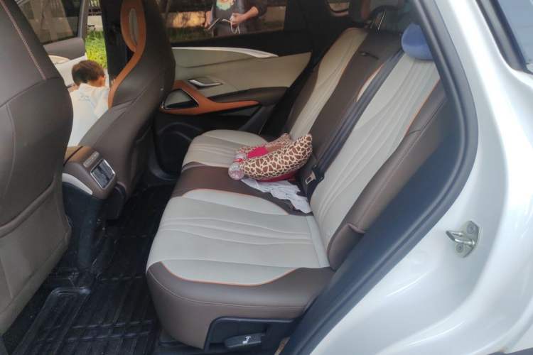 Used BYD Song Pro New Energy 2022 DM-i 110km Flagship Pro Model Left Rear Seat