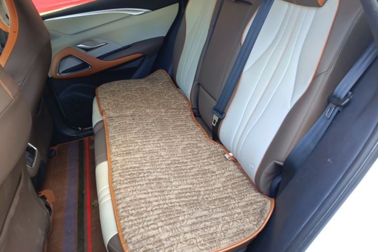 Used BYD Song Pro New Energy 2022 DM-i 110km Flagship Model Left Rear Seat