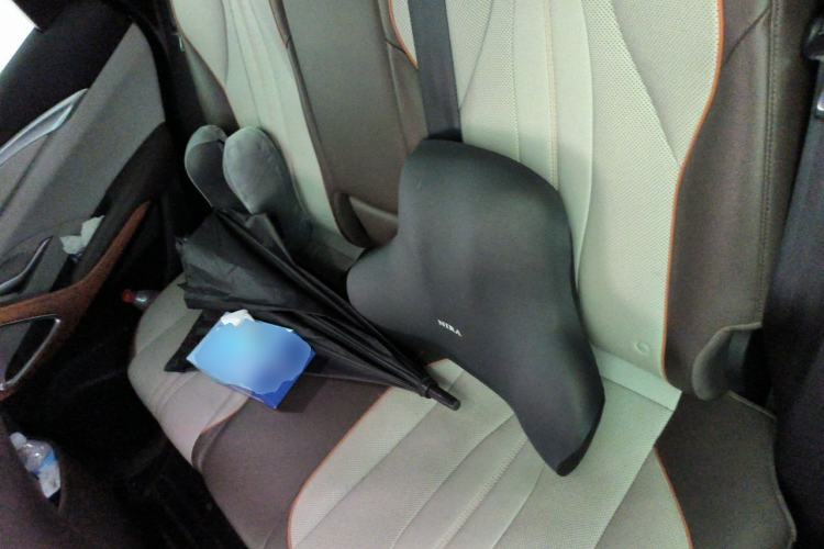 Used BYD Song Pro New Energy 2022 DM-i 110km Flagship Pro Model Left Rear Seat