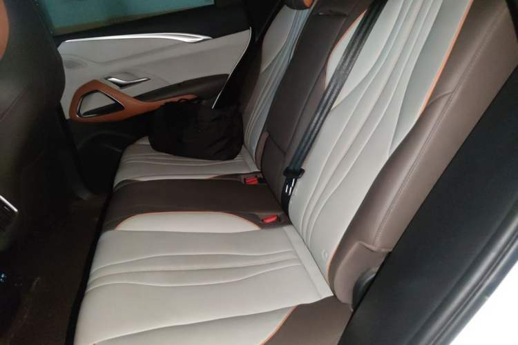 Used BYD Song Pro New Energy 2022 DM-i 51km Prestige Model Left Rear Seat
