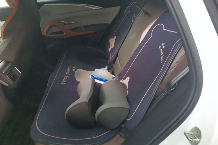 Used BYD Song Pro New Energy 2022 DM-i 110km Flagship Model Left Rear Seat