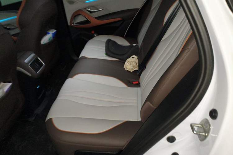 Used BYD Song Pro New Energy 2022 DM-i 110km Flagship Pro Model Left Rear Seat