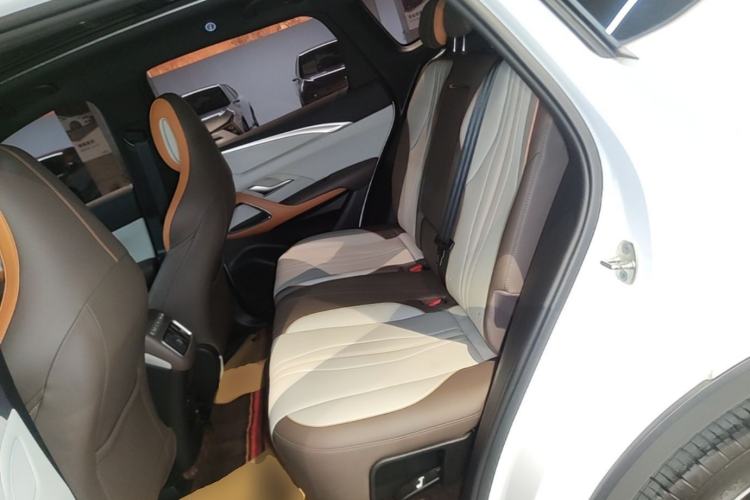 Used BYD Song Pro New Energy 2022 DM-i 51km Prestige Model Left Rear Seat