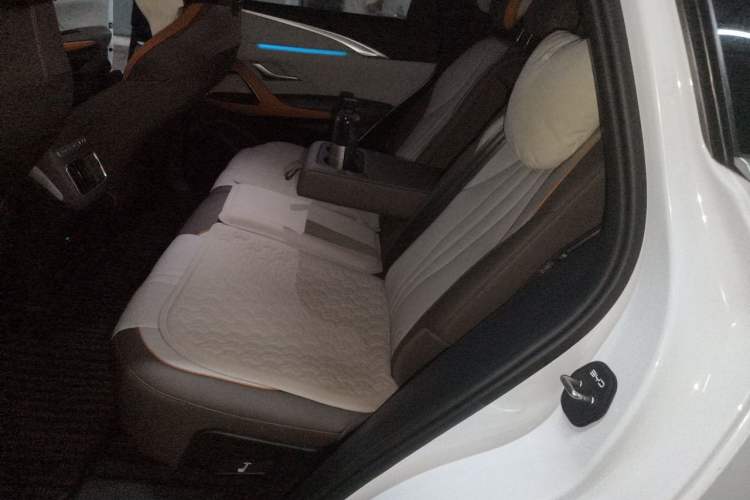 Used BYD Song Pro New Energy 2022 DM-i 110km Flagship Pro Model Left Rear Seat