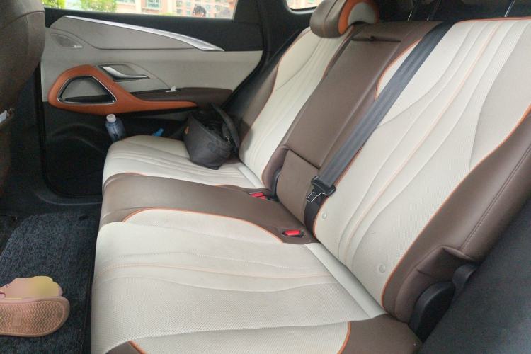 Used BYD Song Pro New Energy 2022 DM-i 51km Prestige Model Left Rear Seat
