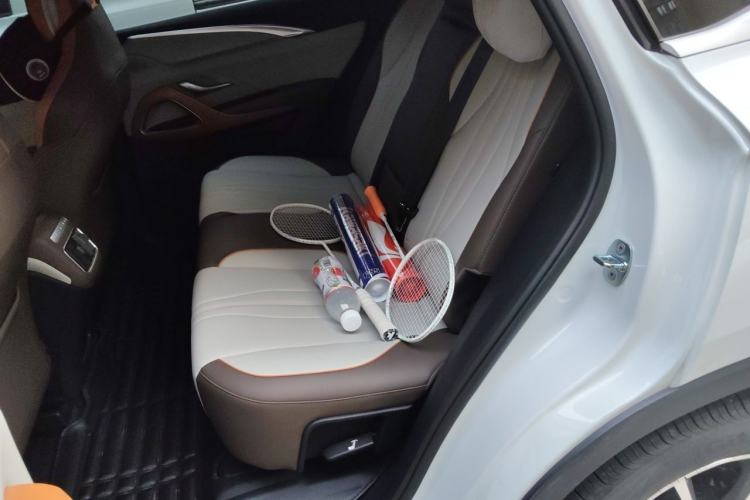 Used BYD Song Pro New Energy 2022 DM-i 51km Prestige Model Left Rear Seat