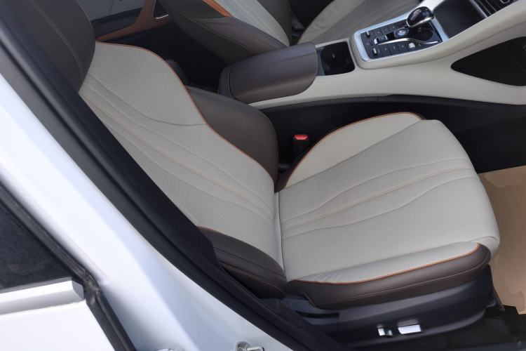Used BYD Song Pro New Energy 2022 DM-i 110km Flagship Pro Model Right Front Seat