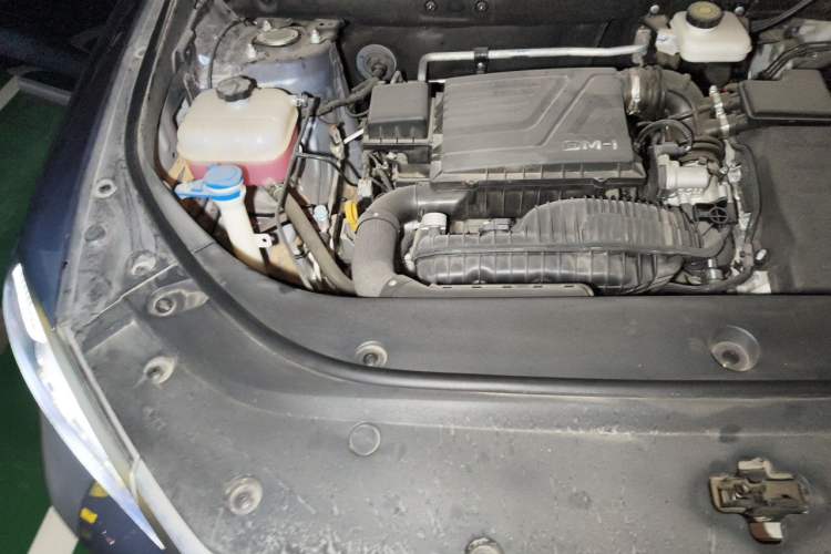 Used BYD Song Pro New Energy 2023 Champion Edition DM-i 110KM Beyond Model Engine Bay Right