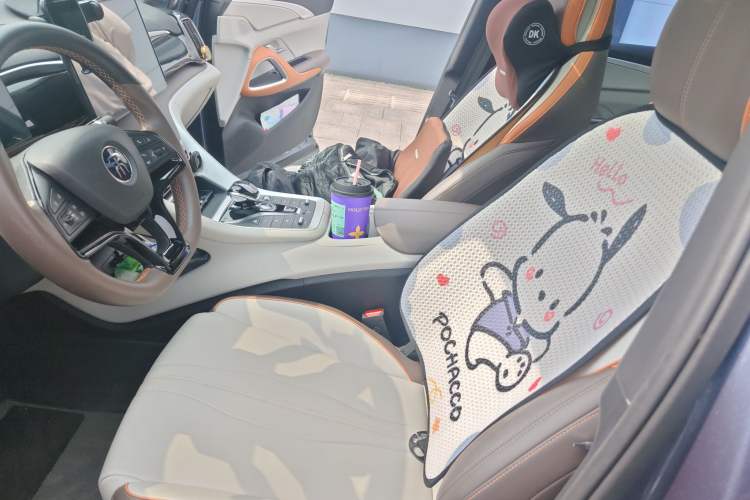 Used BYD Song Pro New Energy 2023 Champion Edition DM-i 110KM Beyond Model Left Front Seat