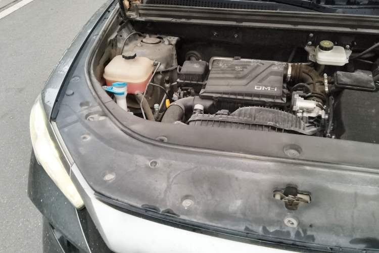 Used BYD Song Pro New Energy 2023 Champion Edition DM-i 110KM Beyond Model Engine Bay Right