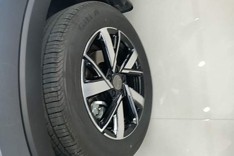 Used BYD Song Pro New Energy 2023 Champion Edition DM-i 110KM Beyond Model Exterior 4