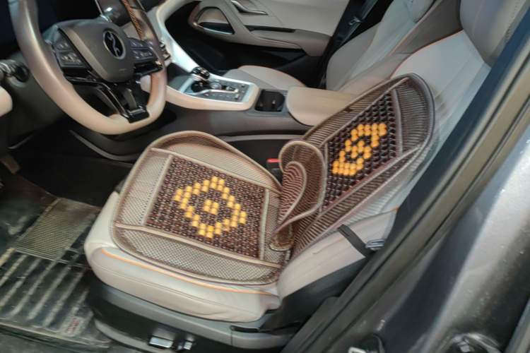 Used BYD Song Pro New Energy 2023 Champion Edition DM-i 110KM Excellence Model Left Front Seat