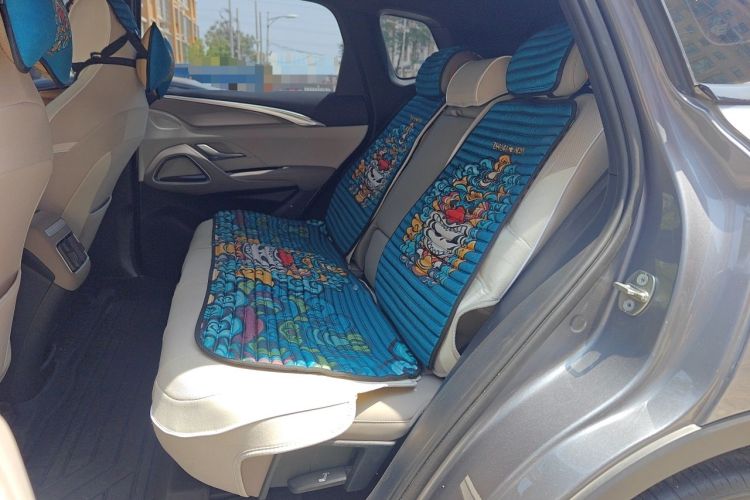 Used BYD Song Pro New Energy 2023 Champion Edition DM-i 71KM Leading Model Left Rear Seat