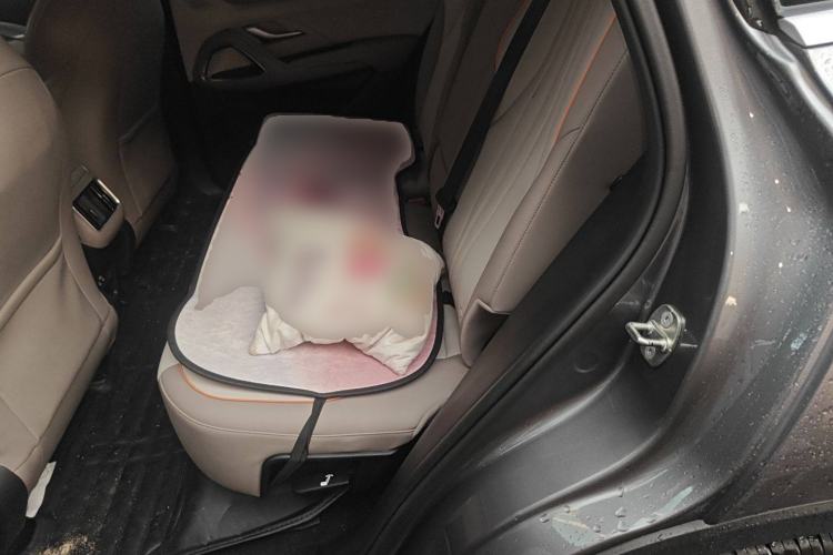 Used BYD Song Pro New Energy 2023 Champion Edition DM-i 71KM Leading Model Left Rear Seat