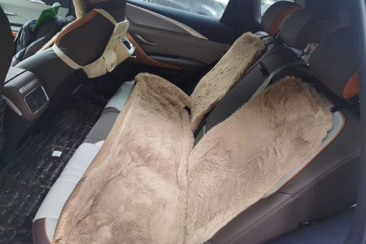 Used BYD Song Pro New Energy 2023 Champion Edition DM-i 71KM Leading Model Left Rear Seat