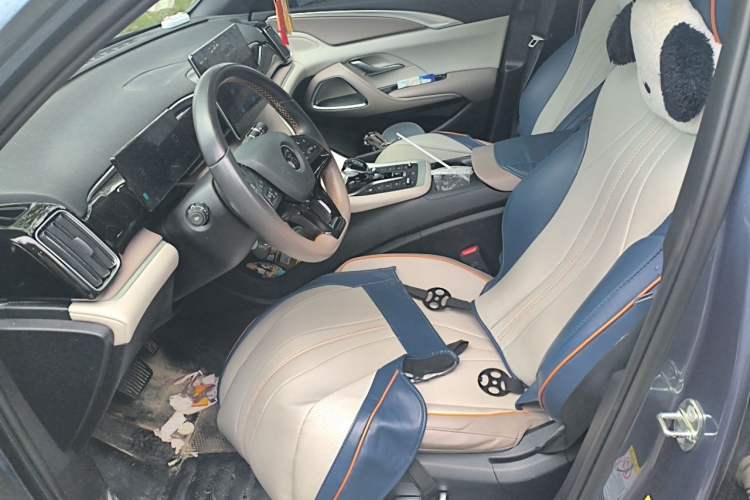 Used BYD Song Pro New Energy 2023 Champion Edition DM-i 110KM Beyond Model Left Front Seat
