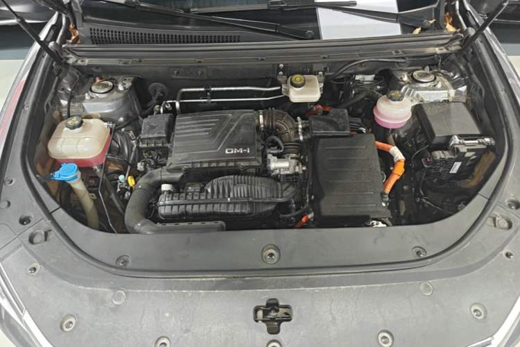 Used BYD Song Pro New Energy 2023 Champion Edition DM-i 110KM Excellence Model Engine Bay