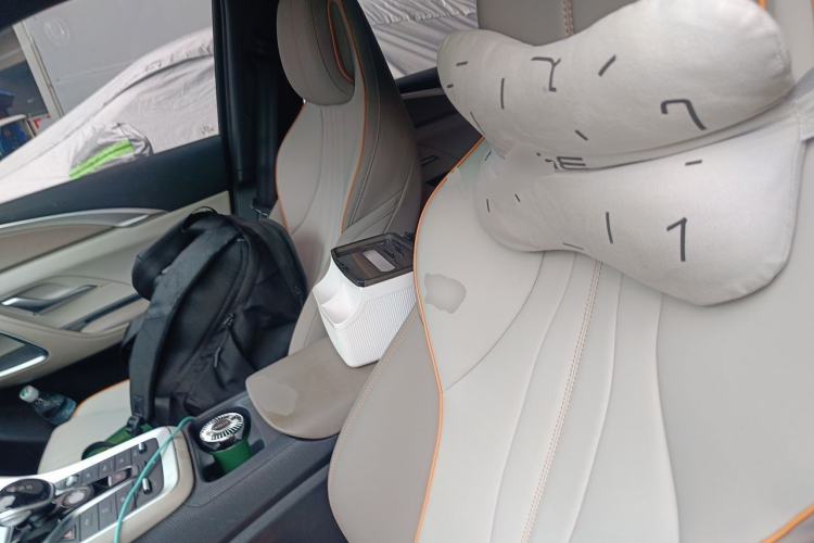 Used BYD Song Pro New Energy 2023 Champion Edition DM-i 110KM Beyond Model Left Front Seat