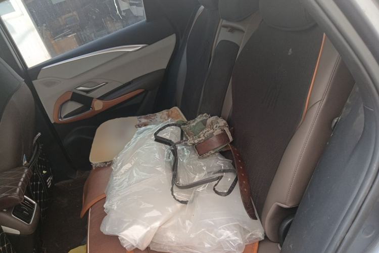 Used BYD Song Pro New Energy 2023 Champion Edition DM-i 110KM Excellence Model Left Rear Seat