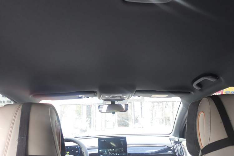 Used BYD Song Pro New Energy 2023 Champion Edition DM-i 71KM Navigation Model Headliner